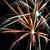 Фейерверк Салют молодежи!